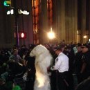 종가 대박집 이미지