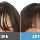 뽀송뽀송펫뷰티 이미지