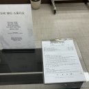 피오르뷰티