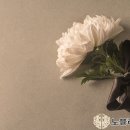 성주효병원장례식장매점 | 마지막 순간에도 효를 표하는 양천구장례식장