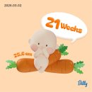 임신기록 | 21 - 29주차 점점 불러오는 배와 임신성비염