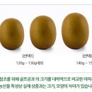 엠와이코퍼레이션