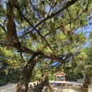 남천목욕탕 이미지