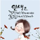 (결산)12월 14일(토)이번 연말엔 좋은 친구와 함께 추억을~ 이미지