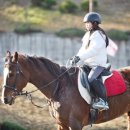 산청승마장 이미지