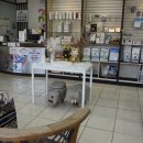 시지동물병원 이미지