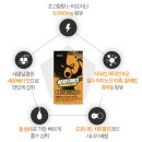 세븐포스 이미지