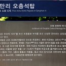 진도상만리오층석탑 | 진도상만리오층석탑 - 진도군