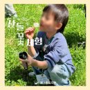 산들레
