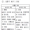 동양의료기 Daum카페