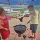 평창베니스 이미지