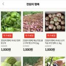 식 천 네이버블로그