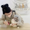재이미