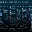 “해골까지 4개월”… 죽은 후 우리 몸에선 어떤 일이? 이미지