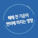 배*찬 이미지