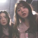 주식회사 나라펫 이미지