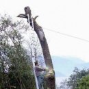 고릴라부동산공인중개사사무소 이미지