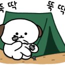 월성오토캠핑장 이미지