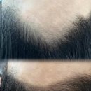 행복헤어라인 - 당진시 문화길 26 | 행복헤어라인