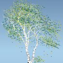 희미한옛사랑의 그림자 이미지