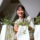 반려식물(홈가드닝) 이미지