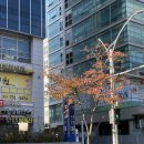 능포센텀스크린골프연습장 | 해운대 골프 테니스 연습장 골프레슨 후기 ■웰짐 골프앤테니스 센텀■