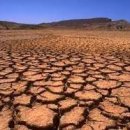 초지축산 이미지