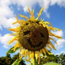 더3.0피부과의원 이미지