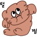 발트글라스 네이버블로그