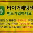 24시타이거배팅센터 이미지