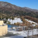 세이지우드 홍천산양목장 이미지