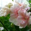 버거웍스 이미지