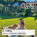 스테이율 이미지