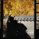 엠블랑 | 웨딩촬영 후기❣️(아이엠메이크업+오감스튜디오+블랑해리)
