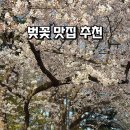 과천아름다운치과의원 | [벚꽃 명소 추천] 2026년 벚꽃 막차 탑승! 보라매공원부터 과천대공원 튤립까지 솔직 후기 🌸