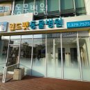 월드동물병원