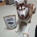 키미토이