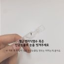 올바른동물병원 이미지