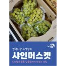 유성청과 이미지