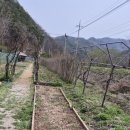 한붓꽃그림 이미지