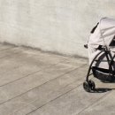 루루 반려견 이미지