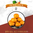 배감 이미지
