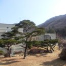 형주병원 Daum카페
