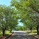 신장근린공원 게이트볼장 이미지