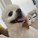 순둥이유치원 이미지