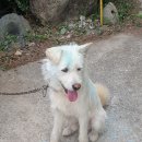 봉화가축병원 이미지