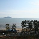 율포해수욕장 이미지
