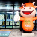본가원 이미지