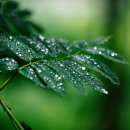 위드 태양광발전소 이미지