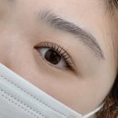 보담브로우